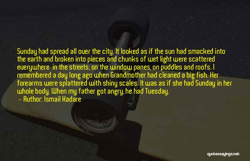 A Big City Quotes By Ismail Kadare