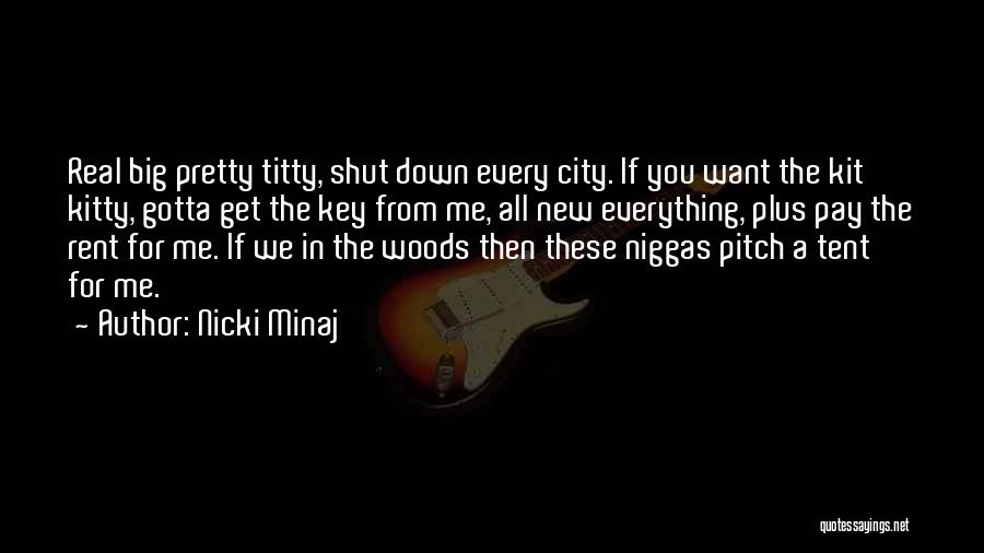 A Big City Quotes By Nicki Minaj