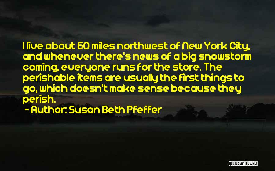 A Big City Quotes By Susan Beth Pfeffer