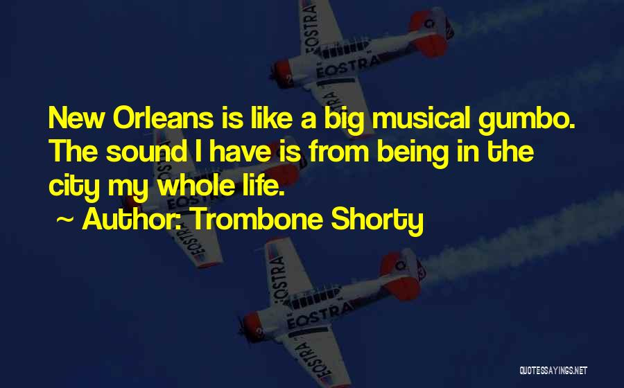 A Big City Quotes By Trombone Shorty