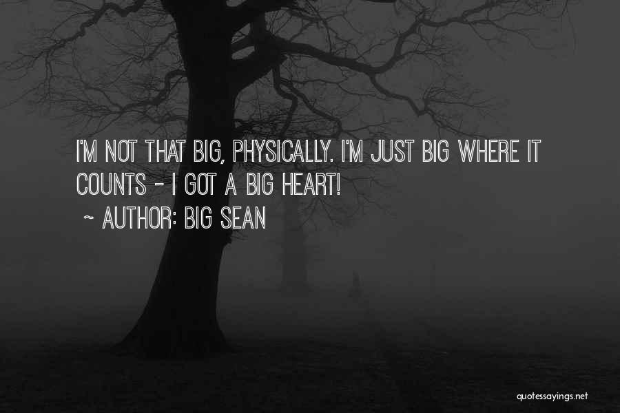 A Big Heart Quotes By Big Sean