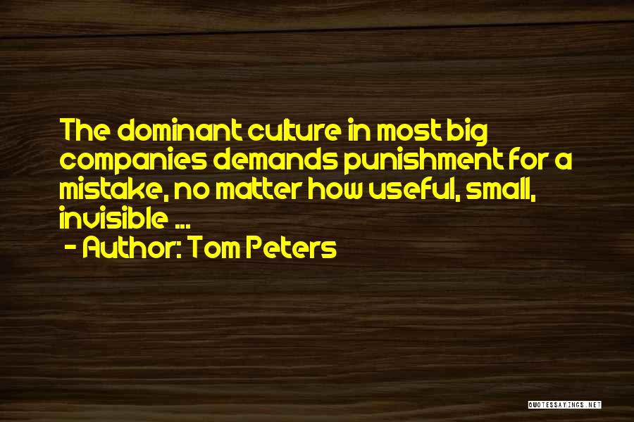 A Big Mistake Quotes By Tom Peters