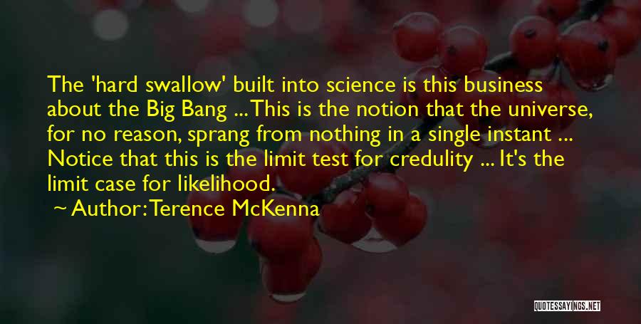 A Big Test Quotes By Terence McKenna