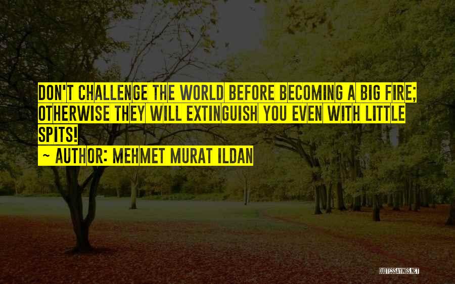 A Big World Quotes By Mehmet Murat Ildan