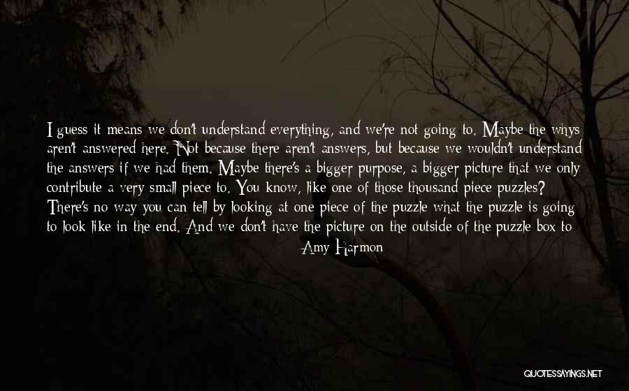 A Bigger Picture Quotes By Amy Harmon