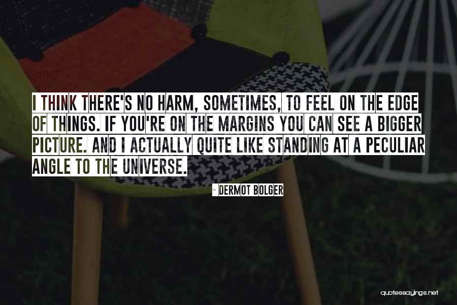 A Bigger Picture Quotes By Dermot Bolger A Bigger Picture Quotes By Dermot Bolger