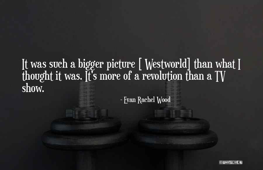 A Bigger Picture Quotes By Evan Rachel Wood A Bigger Picture Quotes By Evan Rachel Wood