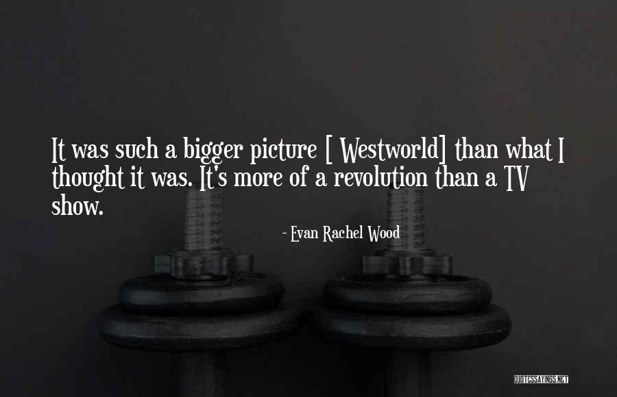 A Bigger Picture Quotes By Evan Rachel Wood