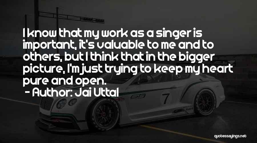 A Bigger Picture Quotes By Jai Uttal