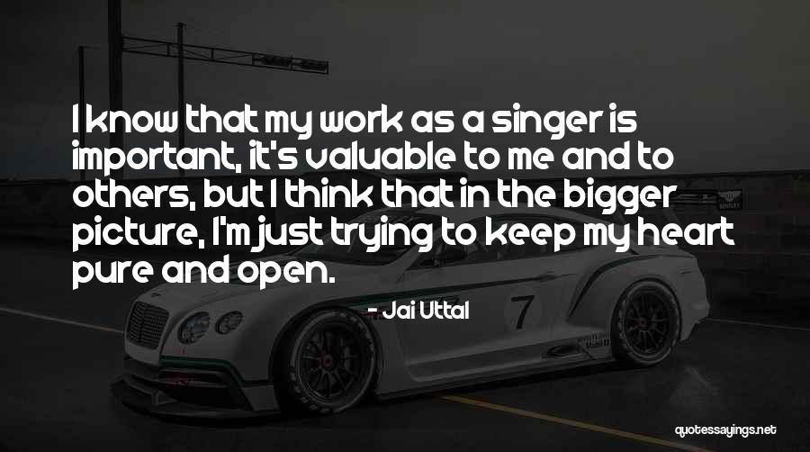 A Bigger Picture Quotes By Jai Uttal A Bigger Picture Quotes By Jai Uttal