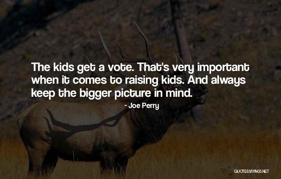 A Bigger Picture Quotes By Joe Perry