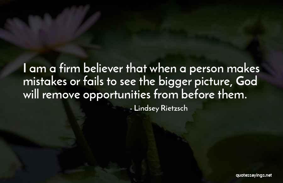 A Bigger Picture Quotes By Lindsey Rietzsch