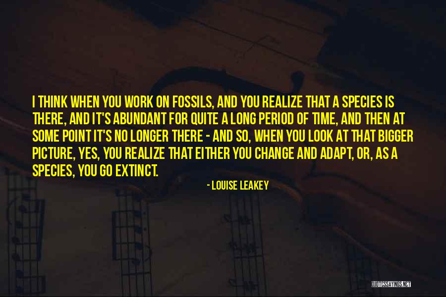 A Bigger Picture Quotes By Louise Leakey