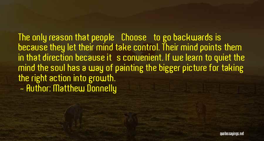 A Bigger Picture Quotes By Matthew Donnelly