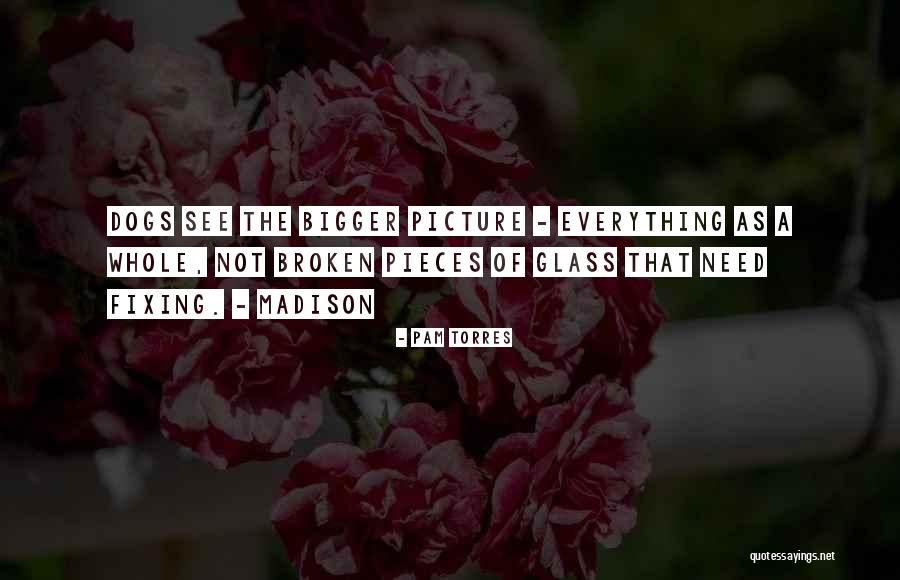 A Bigger Picture Quotes By Pam Torres A Bigger Picture Quotes By Pam Torres