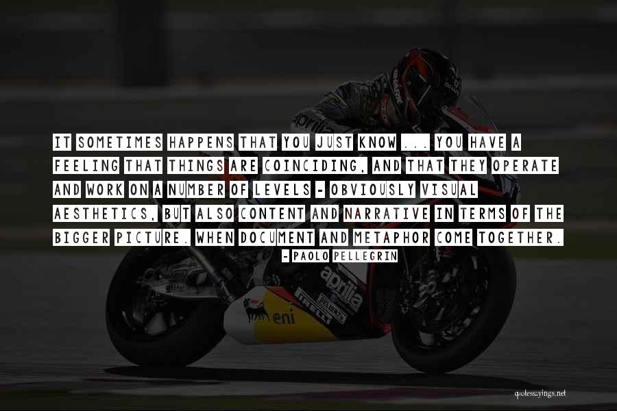 A Bigger Picture Quotes By Paolo Pellegrin A Bigger Picture Quotes By Paolo Pellegrin