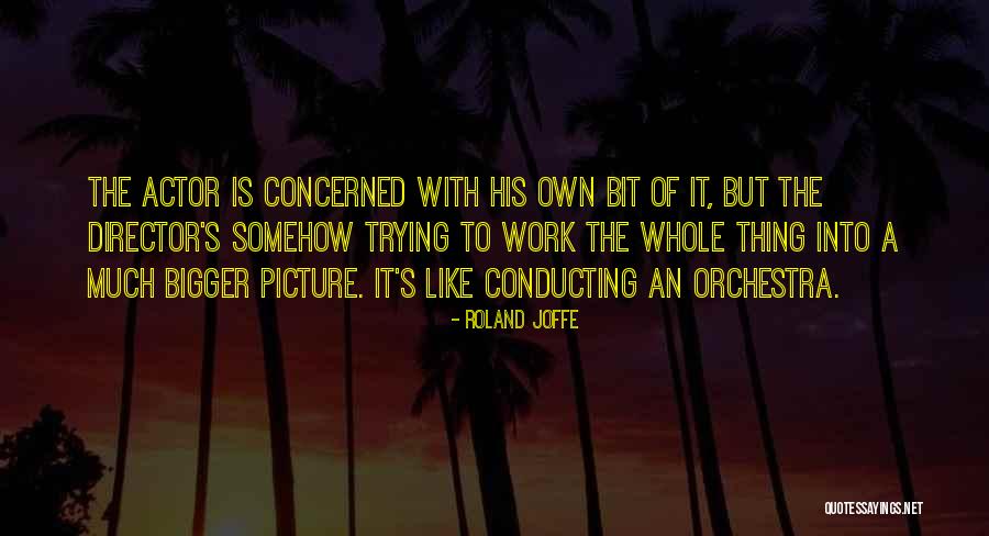 A Bigger Picture Quotes By Roland Joffe