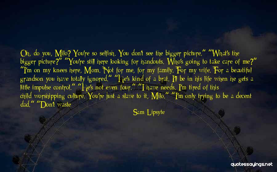 A Bigger Picture Quotes By Sam Lipsyte