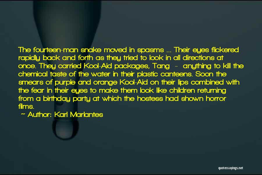 A Birthday Party Quotes By Karl Marlantes