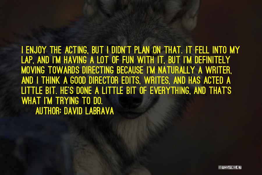 A Bit Of Fun Quotes By David Labrava