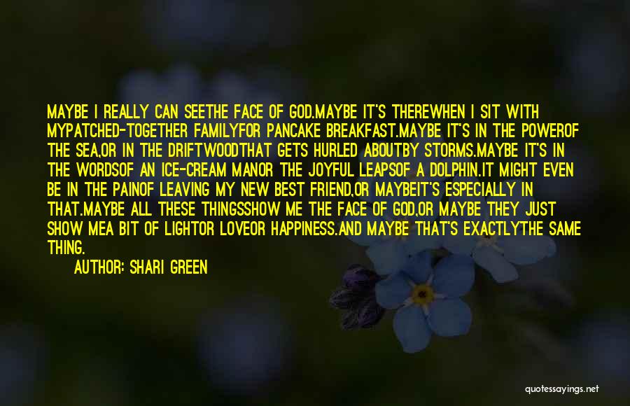 A Bit Of Happiness Quotes By Shari Green