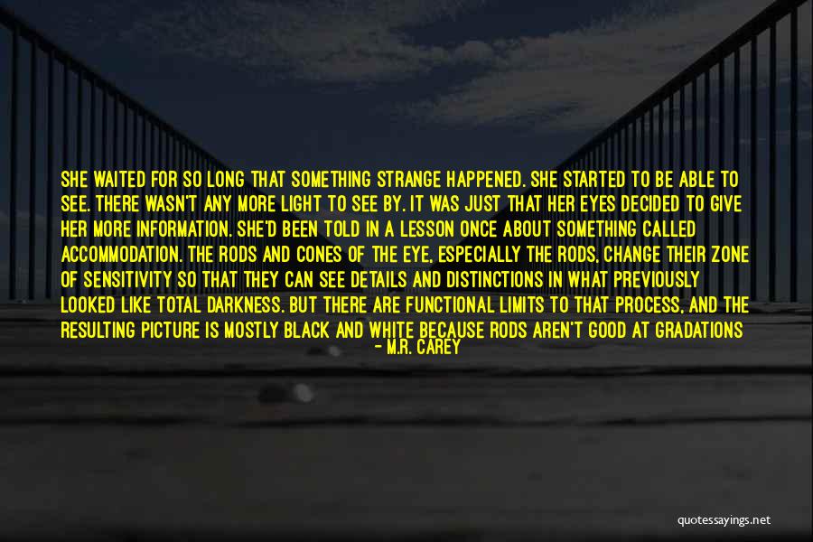 A Black And White Picture Quotes By M.R. Carey A Black And White Picture Quotes By M.R. Carey