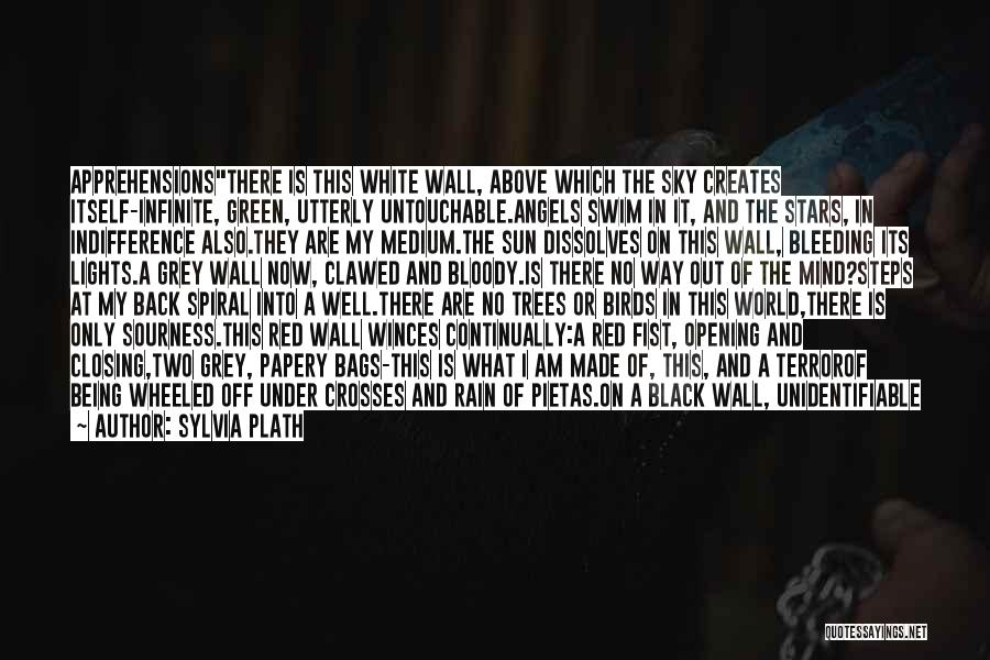 A Black And White World Quotes By Sylvia Plath A Black And White World Quotes By Sylvia Plath