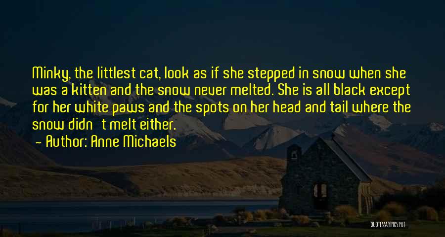 A Black Cat Quotes By Anne Michaels