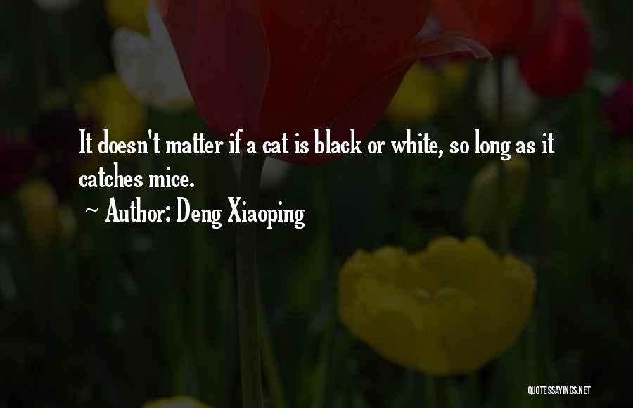 A Black Cat Quotes By Deng Xiaoping