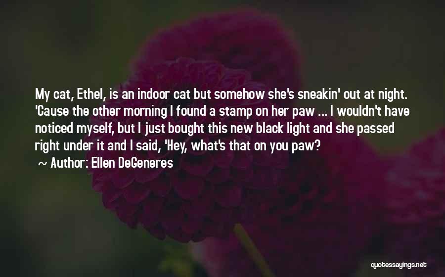 A Black Cat Quotes By Ellen DeGeneres