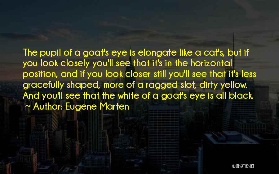 A Black Cat Quotes By Eugene Marten
