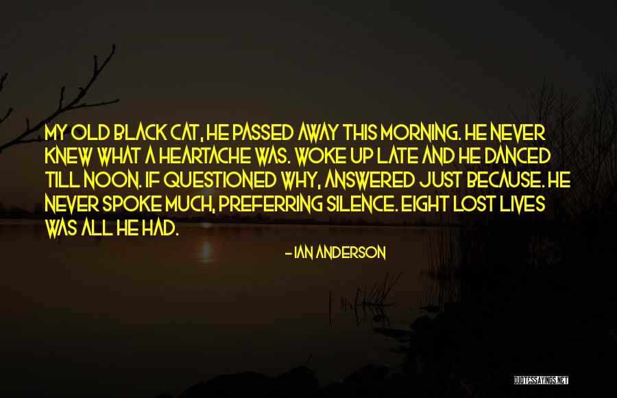 A Black Cat Quotes By Ian Anderson