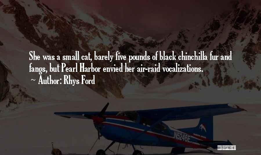 A Black Cat Quotes By Rhys Ford