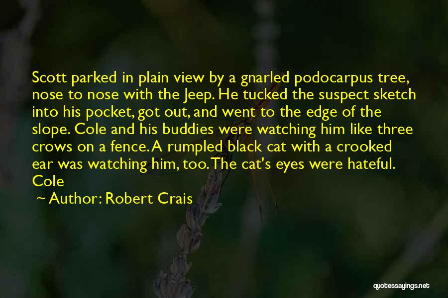 A Black Cat Quotes By Robert Crais