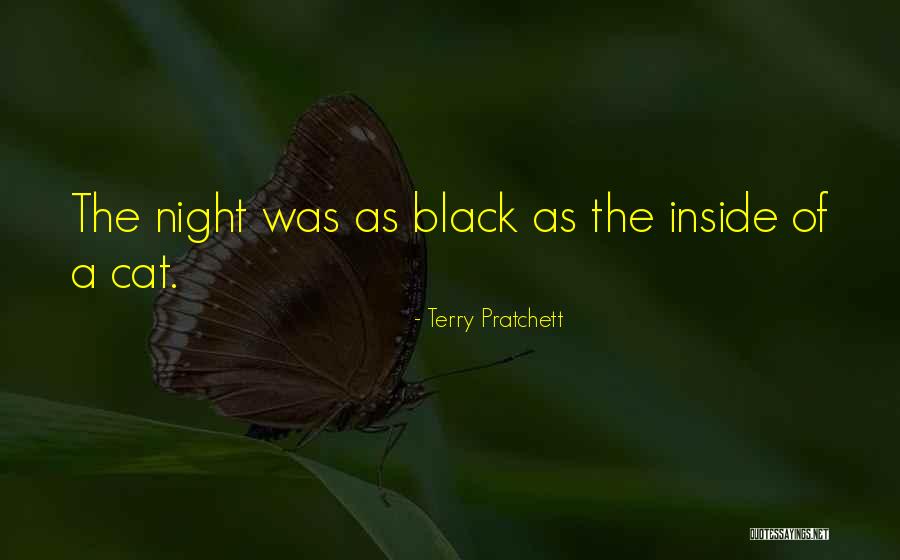 A Black Cat Quotes By Terry Pratchett