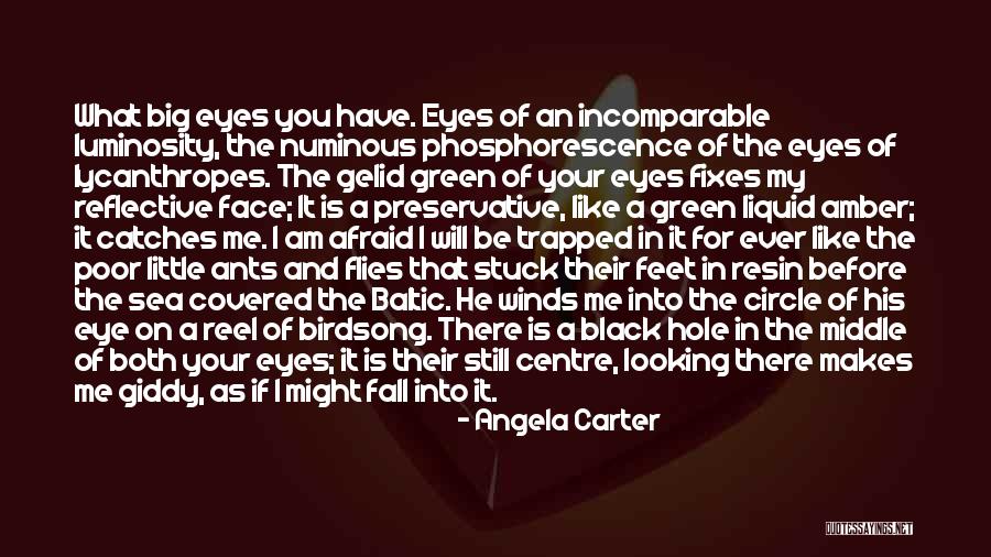 A Black Eye Quotes By Angela Carter