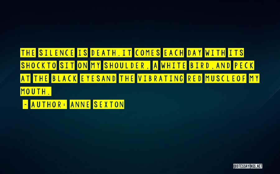 A Black Eye Quotes By Anne Sexton