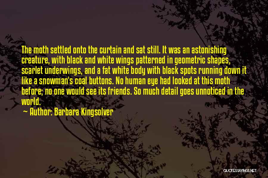 A Black Eye Quotes By Barbara Kingsolver