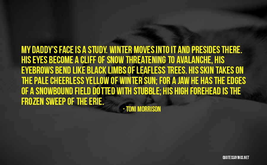 A Black Eye Quotes By Toni Morrison