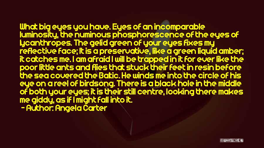 A Black Hole Quotes By Angela Carter
