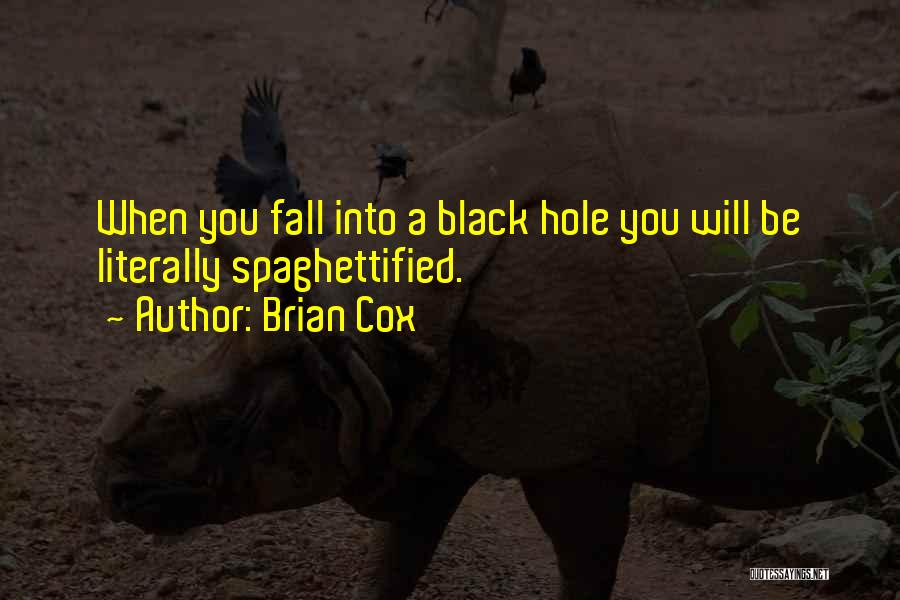 A Black Hole Quotes By Brian Cox