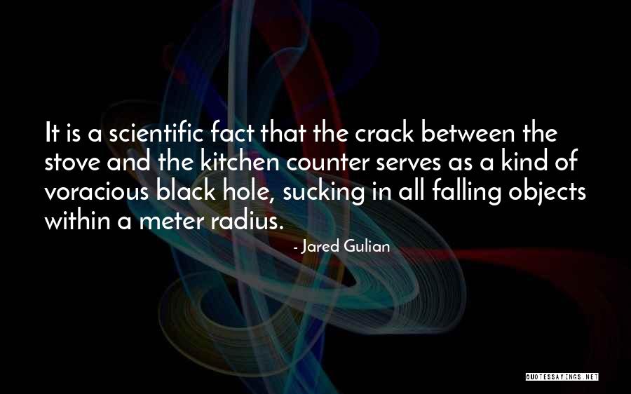 A Black Hole Quotes By Jared Gulian