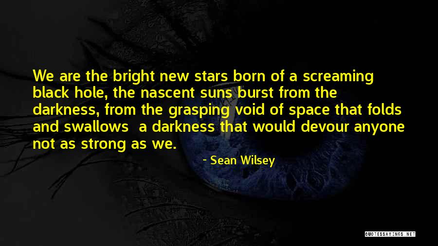 A Black Hole Quotes By Sean Wilsey