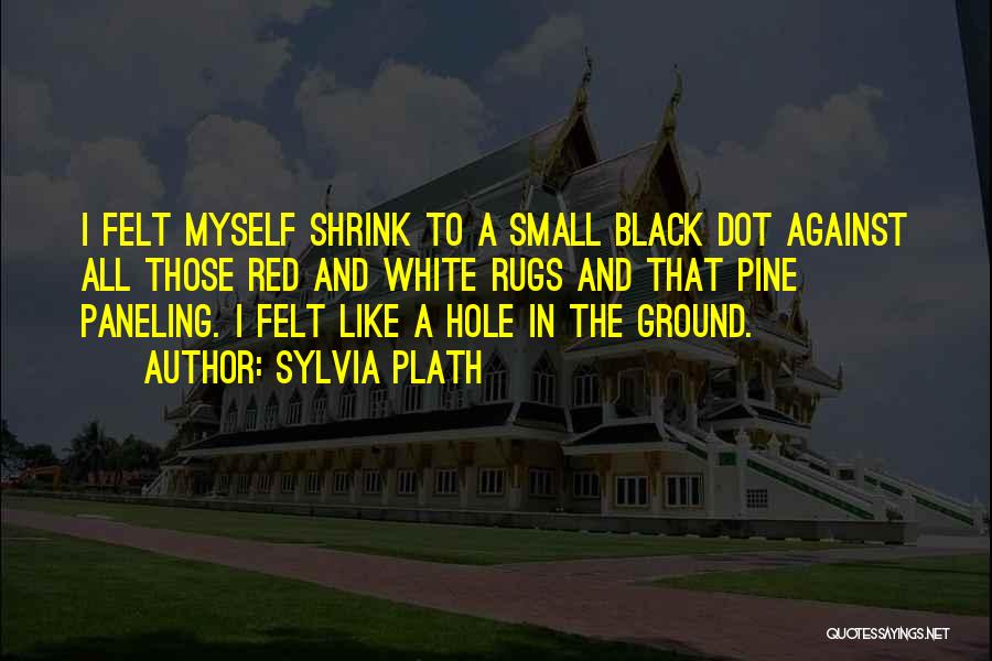 A Black Hole Quotes By Sylvia Plath