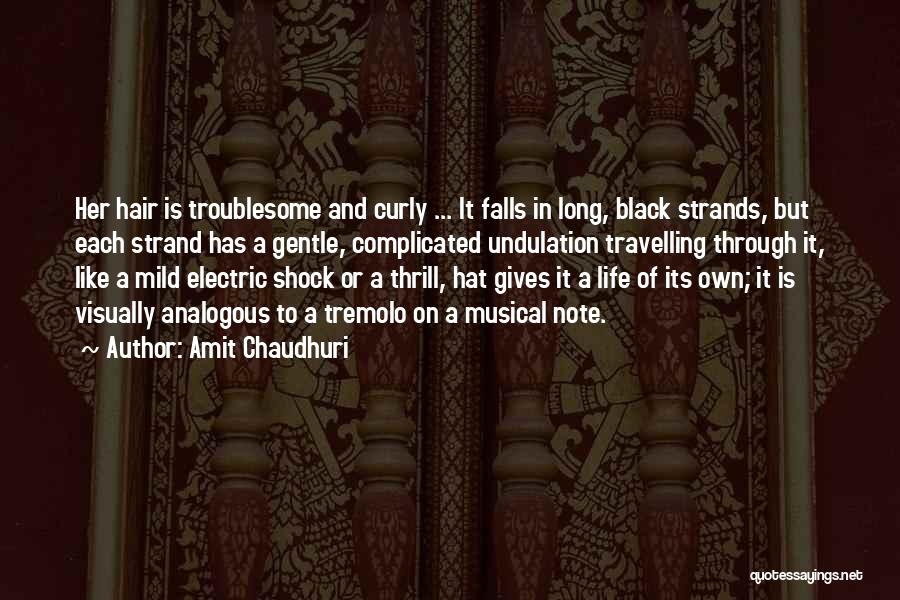 A Black Mother Quotes By Amit Chaudhuri