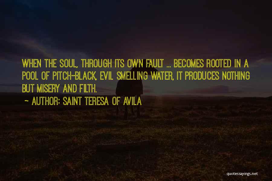 A Black Soul Quotes By Saint Teresa Of Avila
