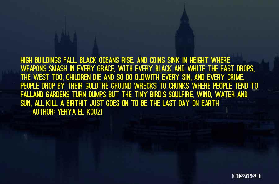 A Black Soul Quotes By Yehya El Kouzi