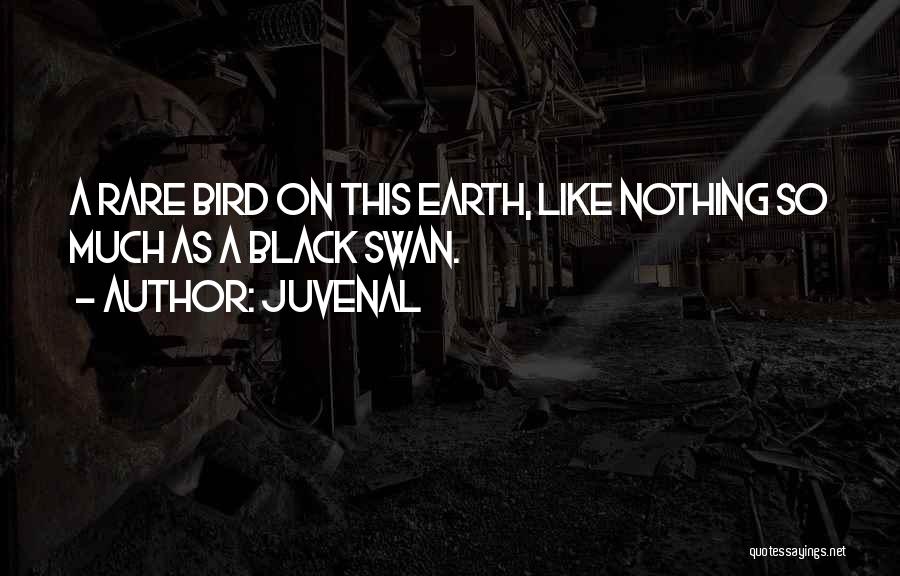 A Black Swan Quotes By Juvenal