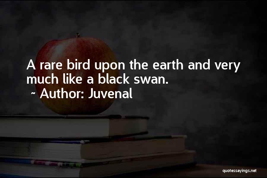 A Black Swan Quotes By Juvenal