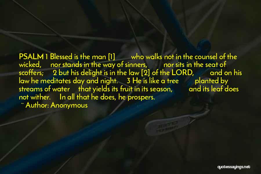 A Blessed Night Quotes By Anonymous